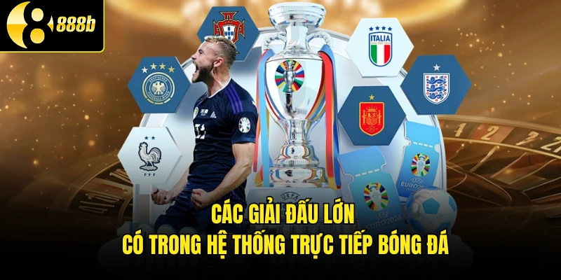 Các giải đấu lớn có trong hệ thống trực tiếp bóng đá