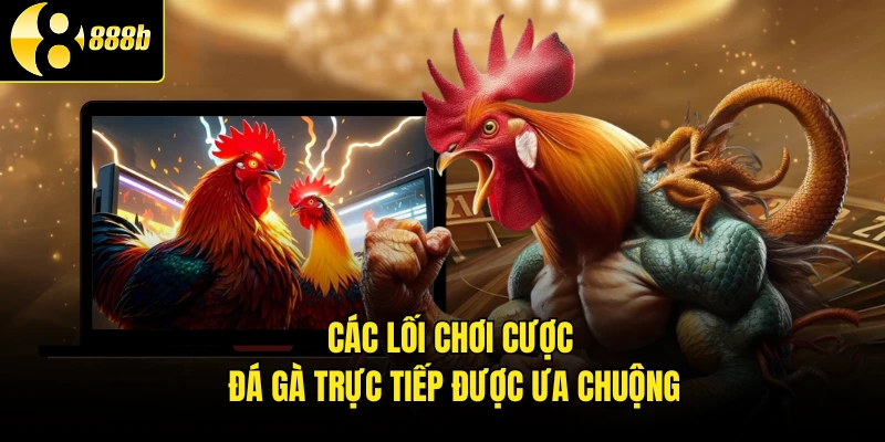 Các lối chơi cược đá gà trực tiếp được ưa chuộng