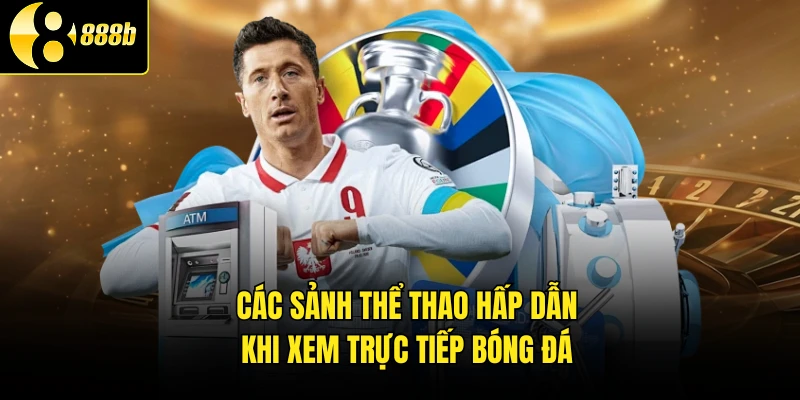 Các sảnh thể thao hấp dẫn khi xem trực tiếp bóng đá