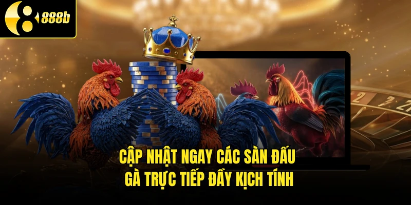 Cập nhật ngay các sàn đấu gà trực tiếp đầy kịch tính