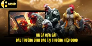 Đá Gà Cựa Sắt - Đấu Trường Đỉnh Cao Tại Thương Hiệu 888B