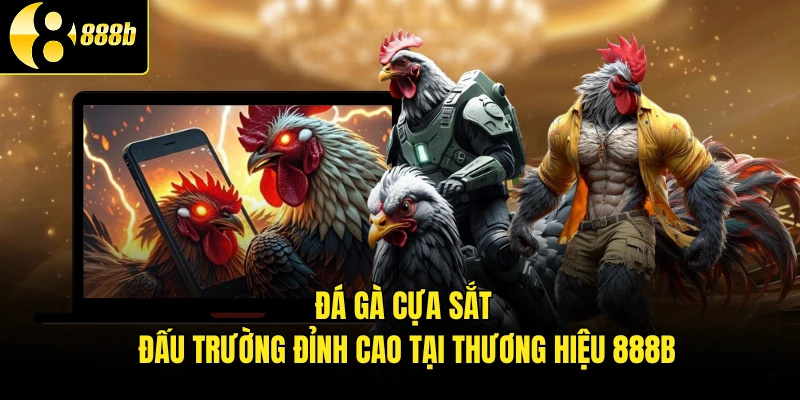 Đá Gà Cựa Sắt - Đấu Trường Đỉnh Cao Tại Thương Hiệu 888B