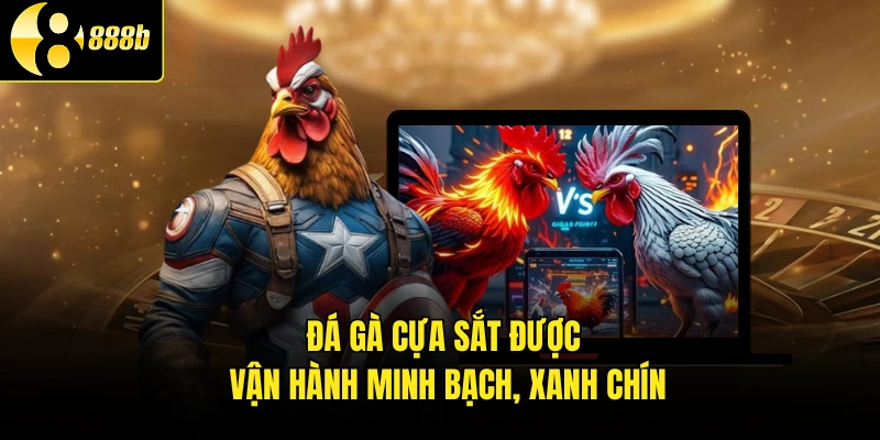 Đá gà cựa sắt được vận hành minh bạch, xanh chín