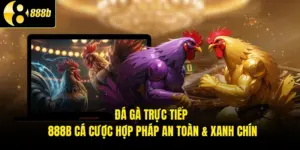 Đá Gà Trực Tiếp - 888B Cá Cược Hợp Pháp An Toàn & Xanh Chín