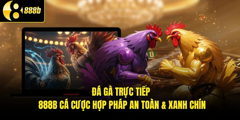 Đá Gà Trực Tiếp - 888B Cá Cược Hợp Pháp An Toàn & Xanh Chín