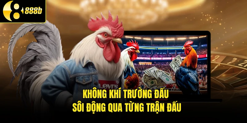 Không khí trường đấu sôi động qua từng trận đấu