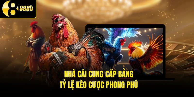 Nhà cái cung cấp bảng tỷ lệ kèo cược phong phú
