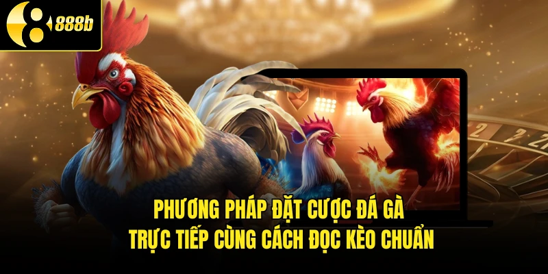 Phương pháp đặt cược đá gà trực tiếp cùng cách đọc kèo chuẩn